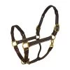 Perri's Twisted Leather Halter