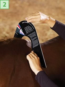 Bates/Wintec Easy Change Gullet Gauge -Equi Gear Shop 2 gauge point 97724.1546903553