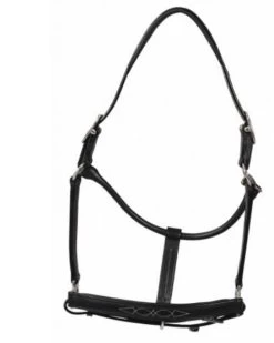 HDR Pony Fancy Padded Leather Halter -Equi Gear Shop 5019halterblack 80901 35602.1618602106