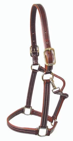 Mary's British Leather Halter With Solid Brass Hardware -Equi Gear Shop 5100britishhaltercopy 85659 13800.1685668117