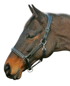 HDR Stress-Free Shaped Crown Halter -Equi Gear Shop 5218 black 27864 26881.1527298209