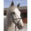 Nunn Finer Rubber Figure 8 Cavesson Noseband
