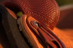 Circle Y Barton Select Rancher Saddle -Equi Gear Shop Barton Ranch Concho USE 26038.1600205510