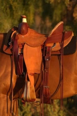 Equi Gear Shop -Equi Gear Shop Barton Ranch Left Profile 2 47601.1600205530