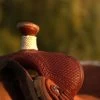 Circle Y Barton Select Rancher Saddle