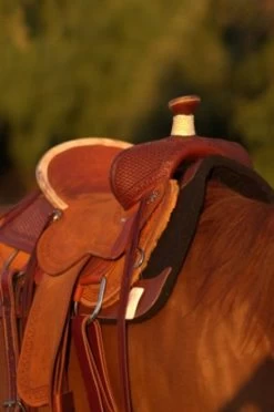 Circle Y Barton Select Rancher Saddle -Equi Gear Shop Barton Ranch Right 36019.1600205566