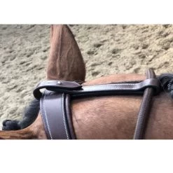 Jump'in Patrick Training Aid -Equi Gear Shop Patrick Training Aid havana poll jumpin 64436.1645560092