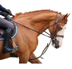 Jump'in Patrick Training Aid -Equi Gear Shop Patrick Training Aid2 jumpin 06200.1645562222