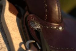 Equi Gear Shop -Equi Gear Shop Salt River Concho 72323.1600203795