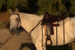 Circle Y Salt River Flex2 Trail Saddle 1667 -Equi Gear Shop Salt River Left Profile on a horse 71261.1600203852