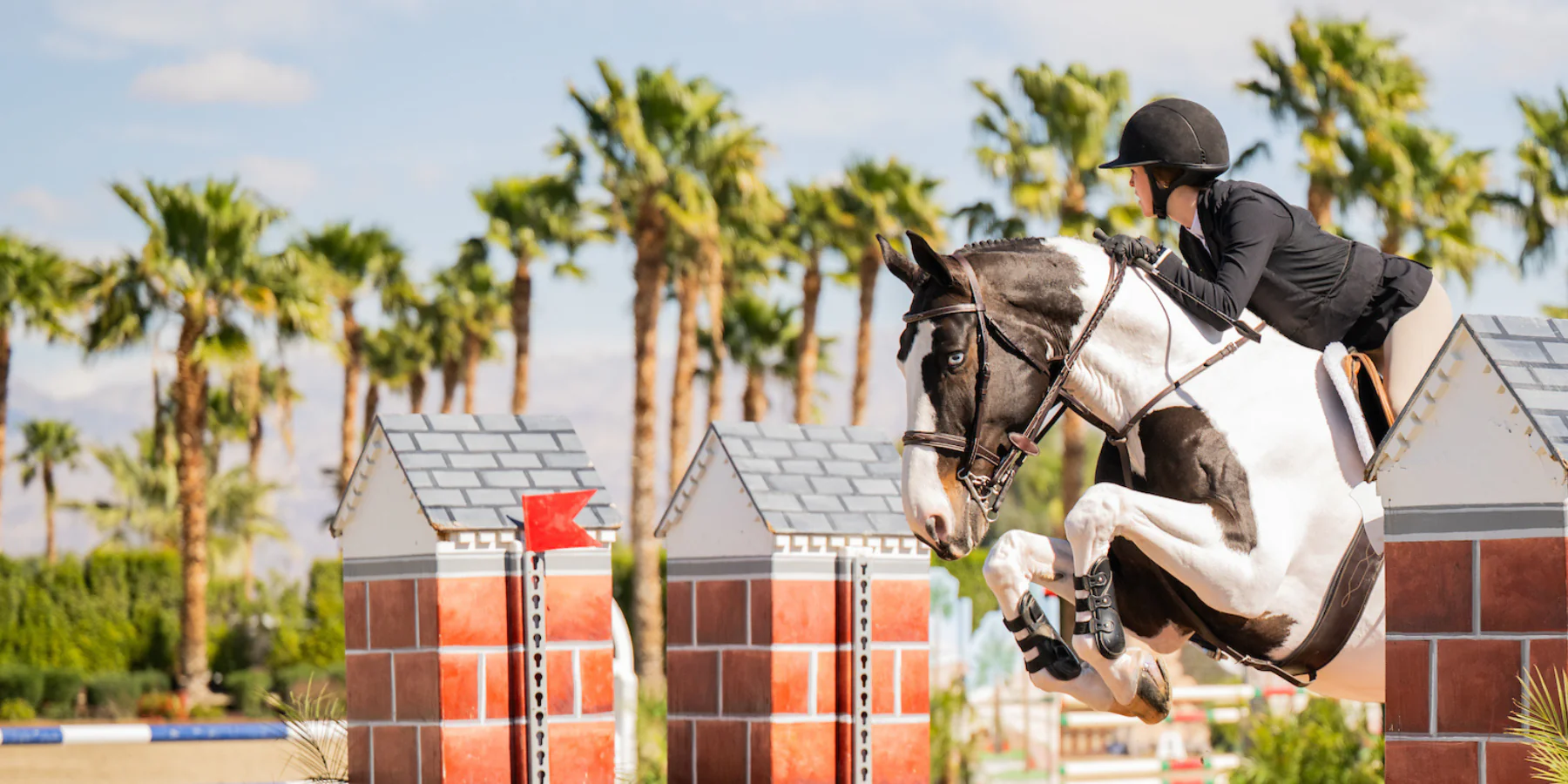 Equi Gear Shop -Equi Gear Shop WEB HEADER BANNER 1800 x 1200 px 9 43a7da8e 524a 4cc3 aa8c da56630fa58d