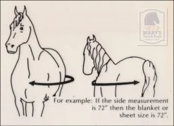 5/A Baker Original Stable Blanket