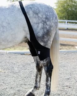 Ice Horse Stifle Wrap 9 Ice Horse Stifle Wrap -Equi Gear Shop aaaaaaaowy 41920 94281.1595626962