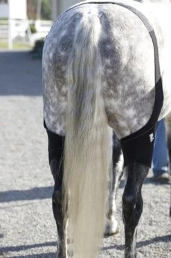 Ice Horse Stifle Wrap 8 Ice Horse Stifle Wrap -Equi Gear Shop aaaaaaaowyimage1 64645 48440.1595626958