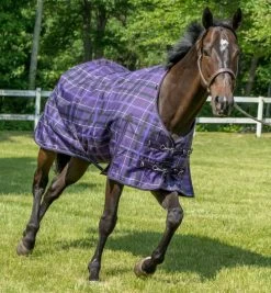 Pessoa Alpine Plaid Turnout Blanket