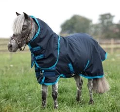 Horseware Ireland Amigo Hero 6 Petite Plus Medium Turnout 200g