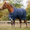Horseware Ireland Horseware Amigo Bravo 12 Medium Turnout 250g
