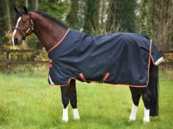 Horseware Ireland Pony Horseware Amigo Bravo 12 Original Turnout 250g