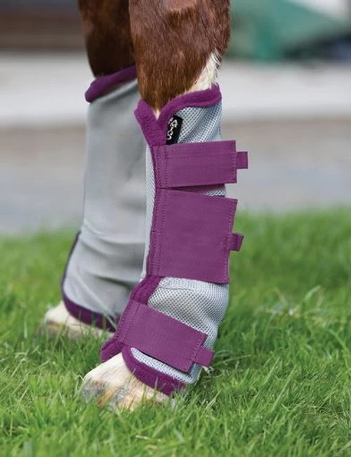 Horseware Ireland Amigo Fly Boots Set Of 4 2 Horseware Ireland Amigo Fly Boots Set Of 4 - Image 2