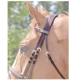 Dy'on Anatomic Crownpiece