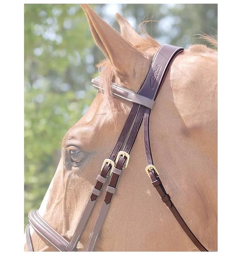 Dy'on Anatomic Crownpiece 1 Dy'on Anatomic Crownpiece