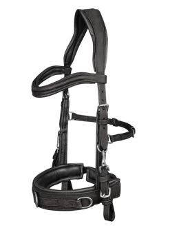 Waldhausen Anatomic Lunging Cavesson