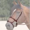 Dy'on Double Noseband