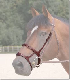 Dy'on Double Noseband