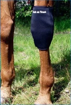 Back On Track Knee Boots