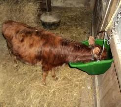 Little Giant 20 Quart Better Bucket -Equi Gear Shop better bucket 20qt green goat BB20GREEN little giant 71125.1677811943