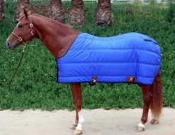 Big D Kodiak Stable Blanket -Equi Gear Shop big d kodiak stable blanket royal 40392.1649964250