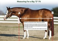 Big D Kodiak Stable Blanket