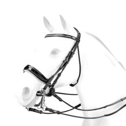 Equipe Charlotte Dujardin Patent Double Bridle