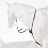 In Horse We Trust C-Cure Elastic Running Martingale