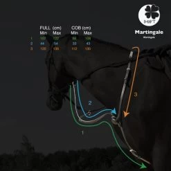 In Horse We Trust C-Cure Elastic Running Martingale -Equi Gear Shop c cure elastic running martingale measure ihwt 12166.1608756538