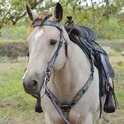 Equi Gear Shop -Equi Gear Shop cactus flower tack set circle y 47716.1613591808