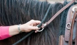 BOOMA Rein Safety Rein -Equi Gear Shop carabineroring 36921 23822.1527296832