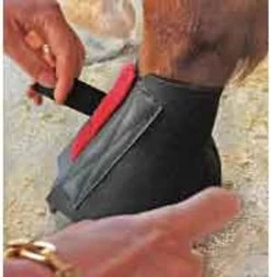 Cavallo Pastern Wraps 7 Cavallo Pastern Wraps -Equi Gear Shop cavallo pastern wrap 39 81342 20974.1527299160