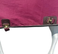 Big D Cotton Canvas Day Sheet Closed Front -Equi Gear Shop closed front cotton canvas sheet maroon black surcingles big d 17085.1673041799