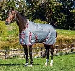 Pony WeatherBeeta ComFiTec Plus Dynamic Standard Turnout
