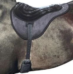 Equi Gear Shop -Equi Gear Shop comfort plus bareback pad black best friend 55062.1674535397