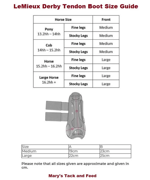 LeMieux Derby Tendon Boots 1 LeMieux Derby Tendon Boots