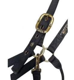 Big D Nylon Draft Halter - Snap + Adjustable Chin -Equi Gear Shop draft halter black hardware big d mtf 63256.1649965248