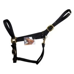 Big D Nylon Draft Halter - Snap + Adjustable Chin -Equi Gear Shop draft halter black side big d mtf 52393.1649965225
