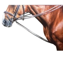 Dy'on Rubber Lined Hunter Draw Reins 7 Dy'on Rubber Lined Hunter Draw Reins -Equi Gear Shop draw reins hunter grip brown horseW W008C dyon 35929.1626810108