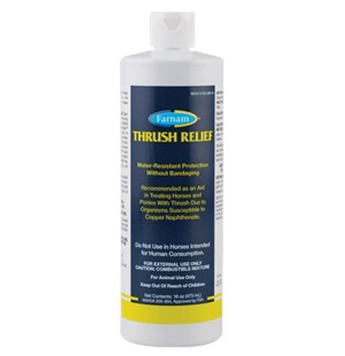 Farnam Thrush Relief 1 Farnam Thrush Relief