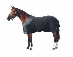 Back On Track Fleece Blanket -Equi Gear Shop fleece blanket on horse 2110 back on track 14712.1573778679