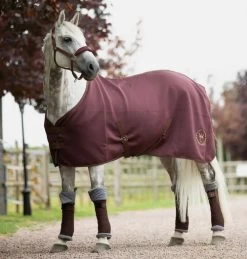 Horze Graz Cooler -Equi Gear Shop graz cooler rum raisin brown horse horze 52591.1584902790