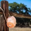Himalayan Rock Salt On Rope