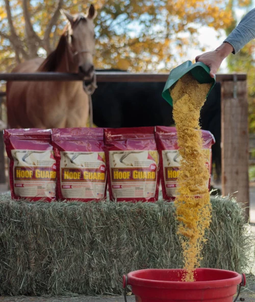 Hoof Guard Supplement By Horse Guard - 10 Lb 4 Hoof Guard Supplement By Horse Guard - 10 Lb - Image 4